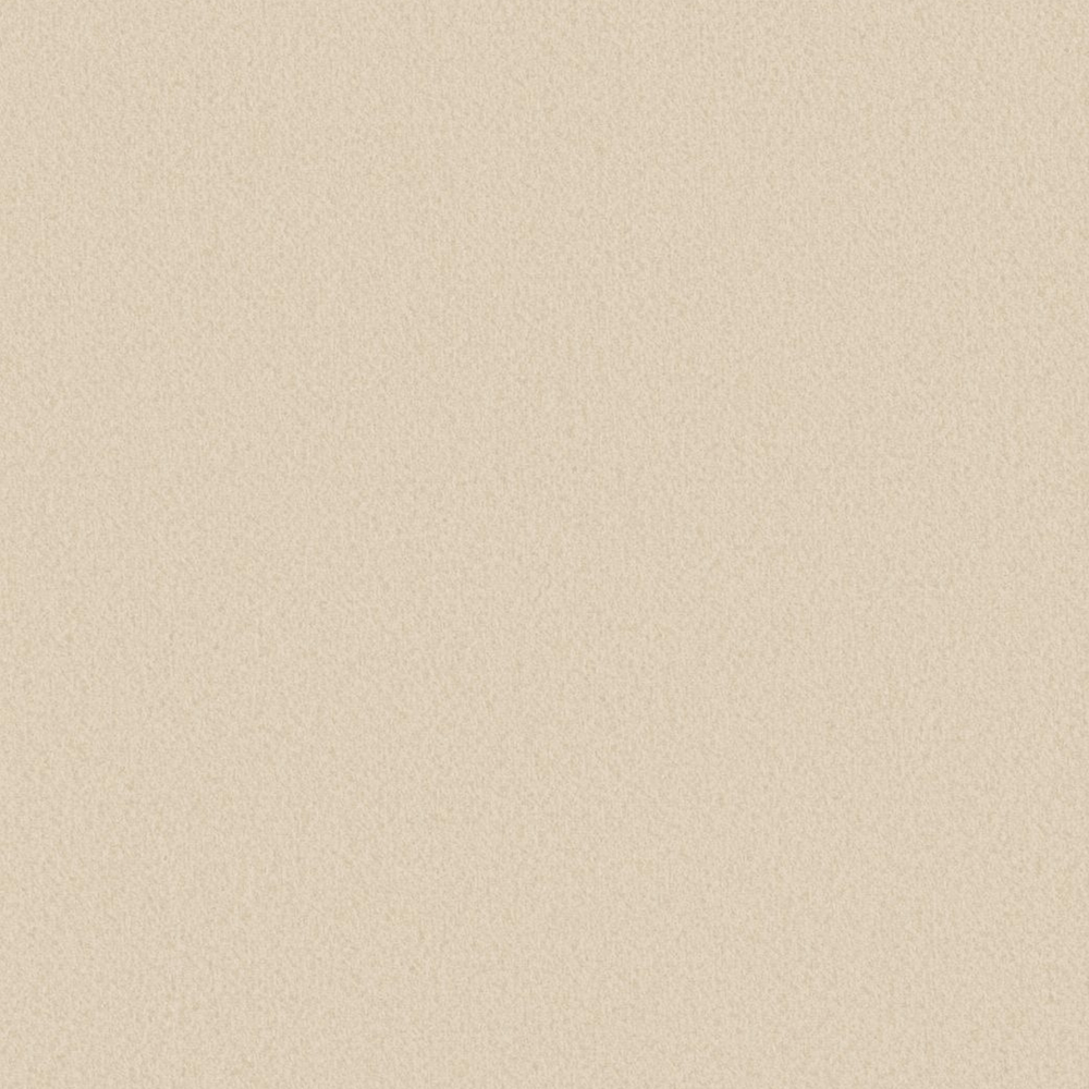 Fonds Neutres en Papier Déchiré – page 11