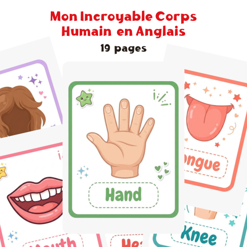 Mon Incroyable Corps Humain – Apprendre l’Anatomie en Anglais
