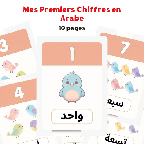 Mes Premiers Chiffres en Arabe