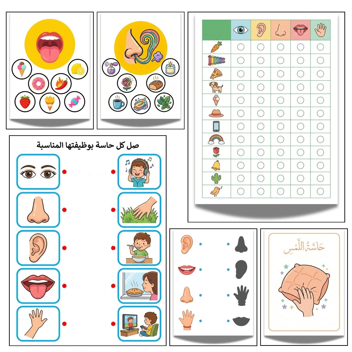 Arabic 5 Senses Activity Book | 20-Page Printable Flashcards & Worksheets