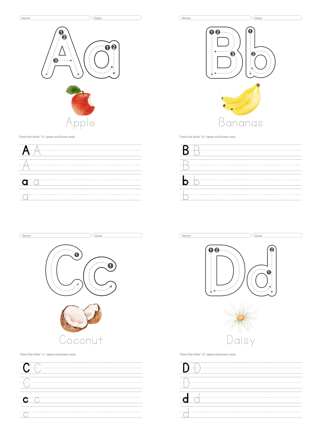 Premium Alphabet Guide | Handwriting and Watercolor Practice