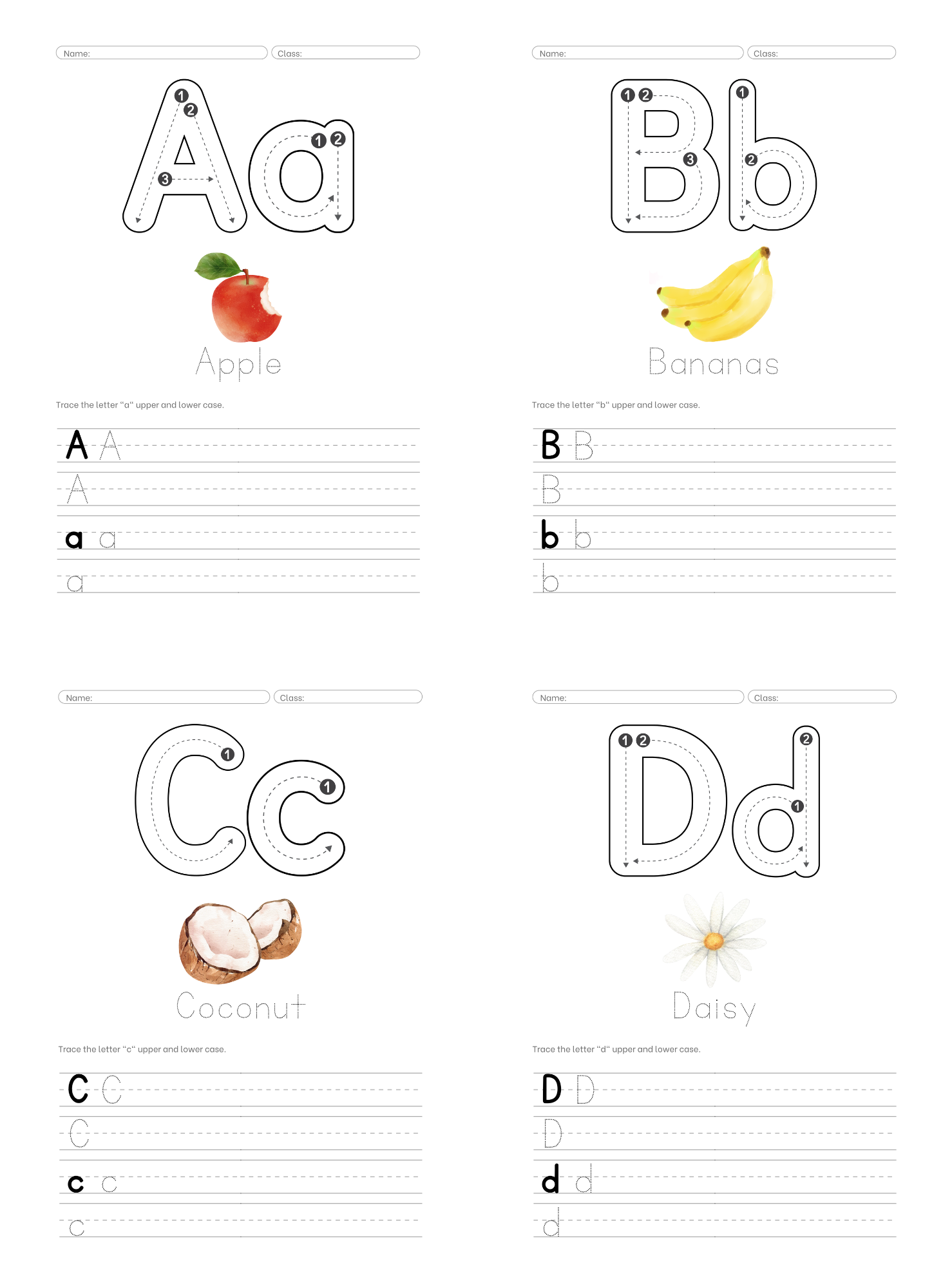 Premium Alphabet Guide | Handwriting and Watercolor Practice