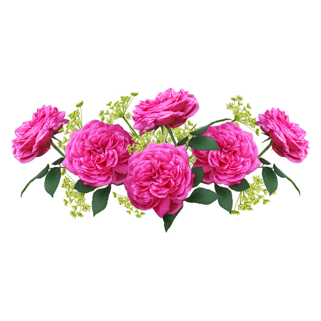 36 Horizontal Floral Clipart Set – PNG Transparent Flowers – 300 DPI – 4096×4096 High Resolution