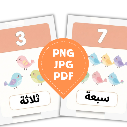 Mes Premiers Chiffres en Arabe