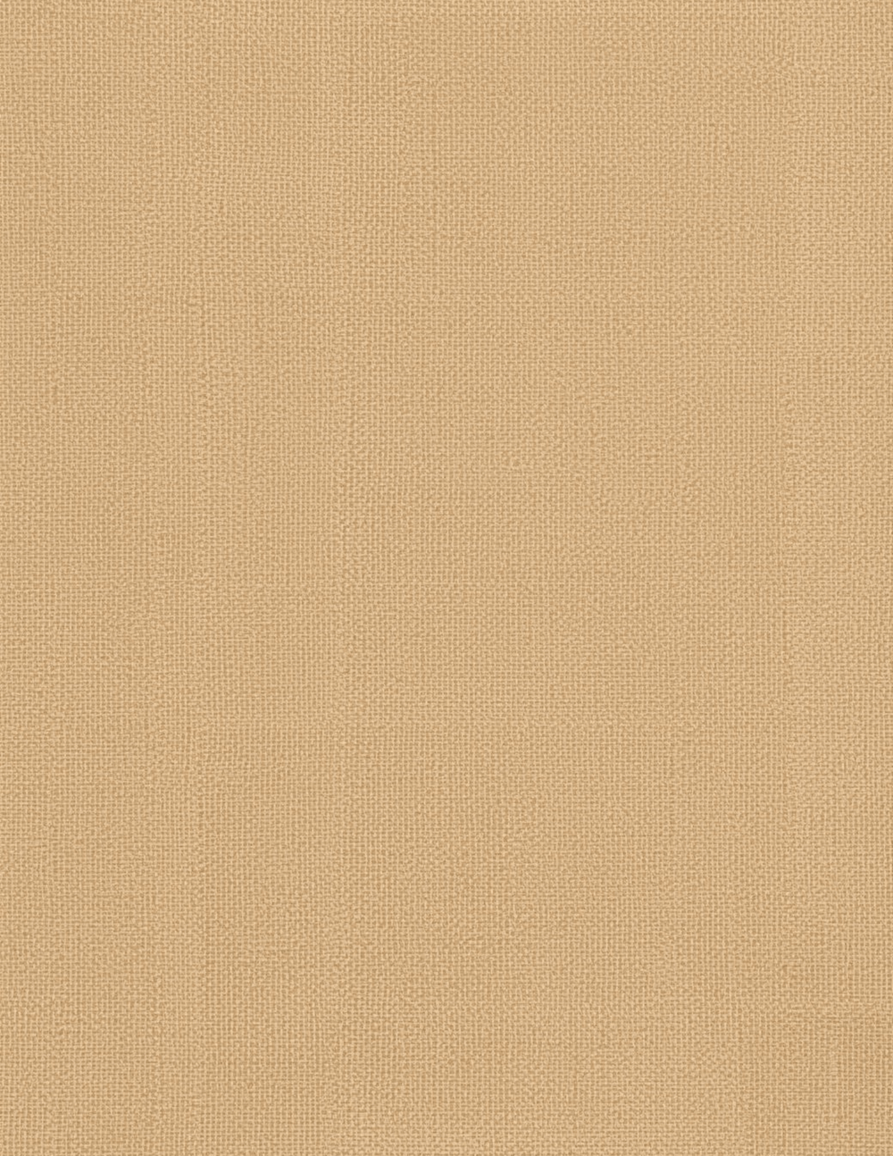 Fonds en Papier Déchiré Neutres | 50 Textures – page 30