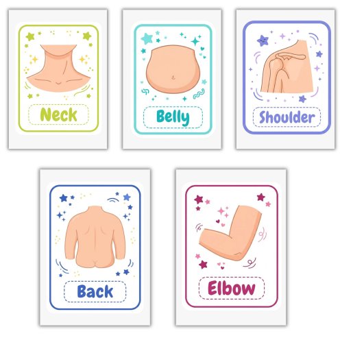 Mon Incroyable Corps Humain – Apprendre l’Anatomie en Anglais