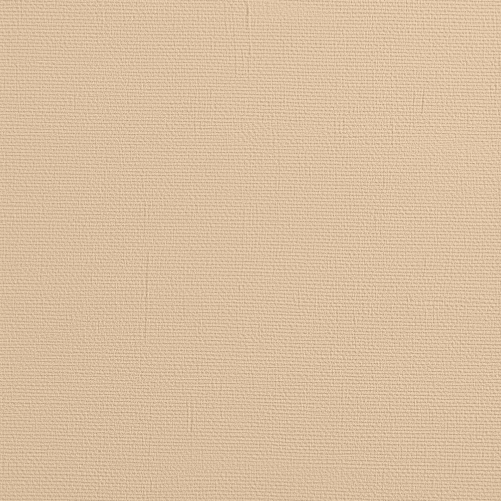 Fonds Neutres en Papier Déchiré – page 40