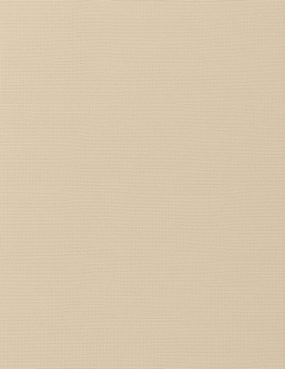 Fonds en Papier Déchiré Neutres | 50 Textures – page 38