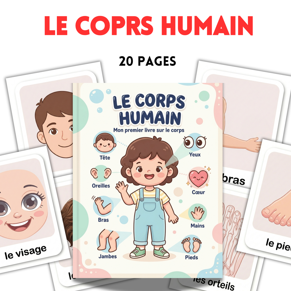 Printable French Human Body Flashcards | 20 Page Kids Anatomy Activity Kit