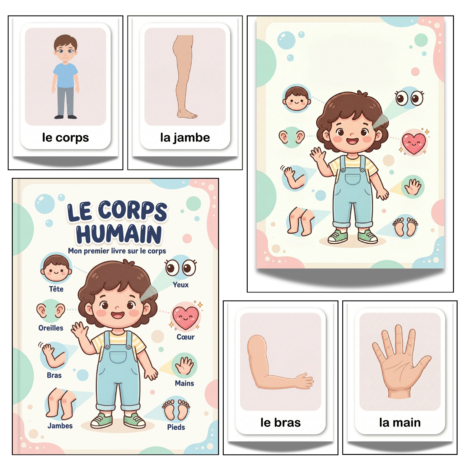 Printable French Human Body Flashcards | 20 Page Kids Anatomy Activity Kit
