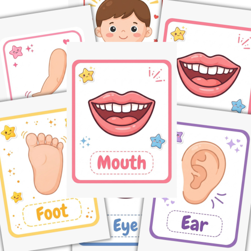 Mon Incroyable Corps Humain – Apprendre l’Anatomie en Anglais