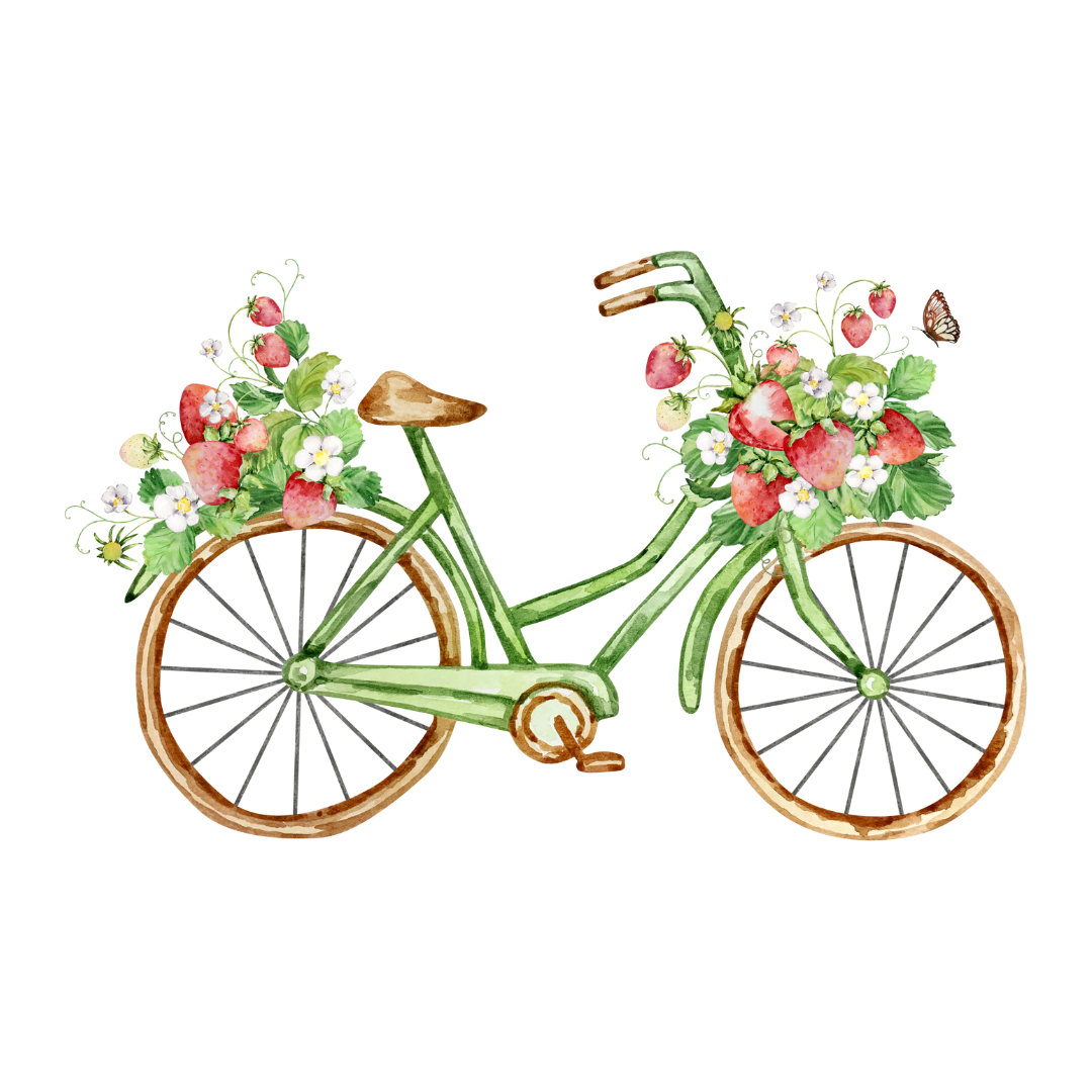25 Bicycle Clipart Set – High-Resolution Transparent PNGs 4096×4096 (300 DPI)
