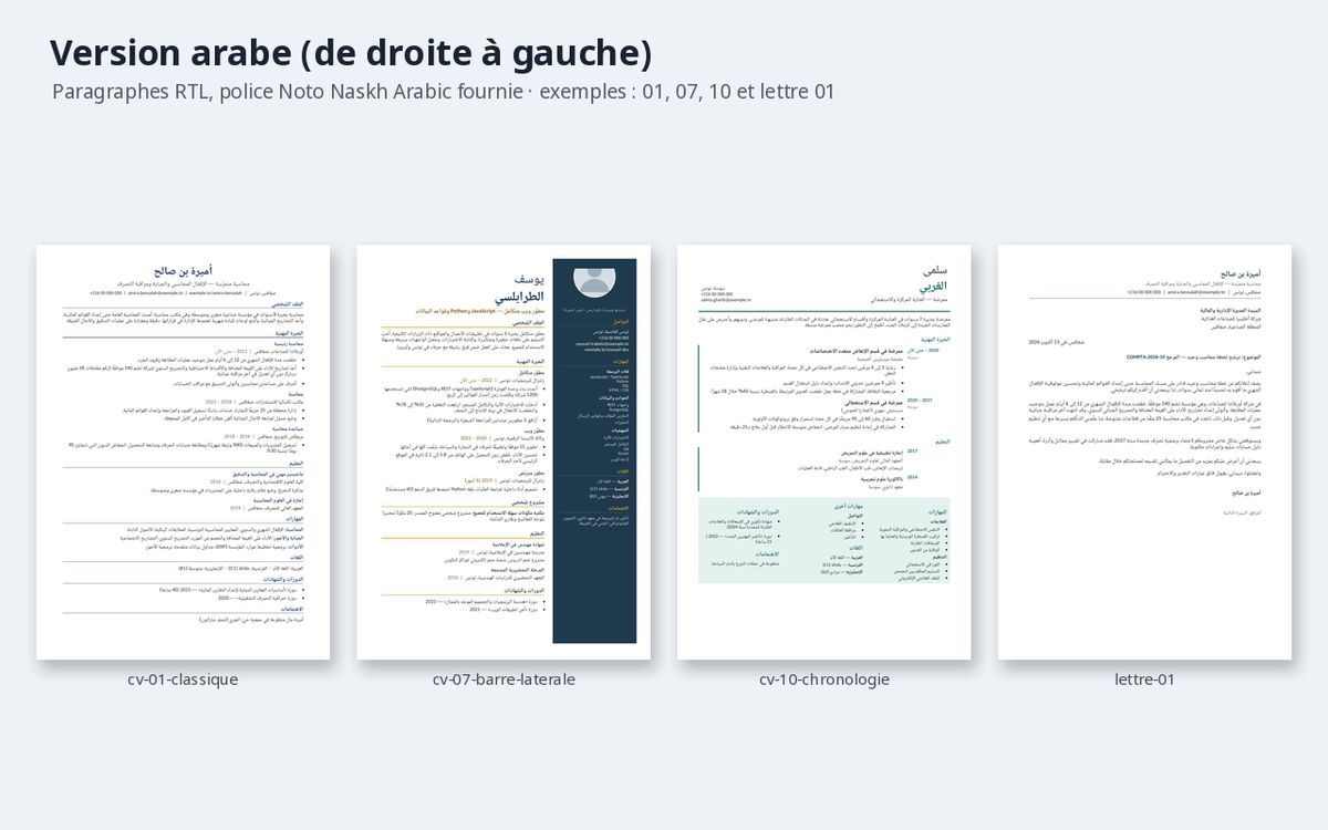 CV et texte d’accompagnement — trois parcours FR/EN/AR – visuel 7